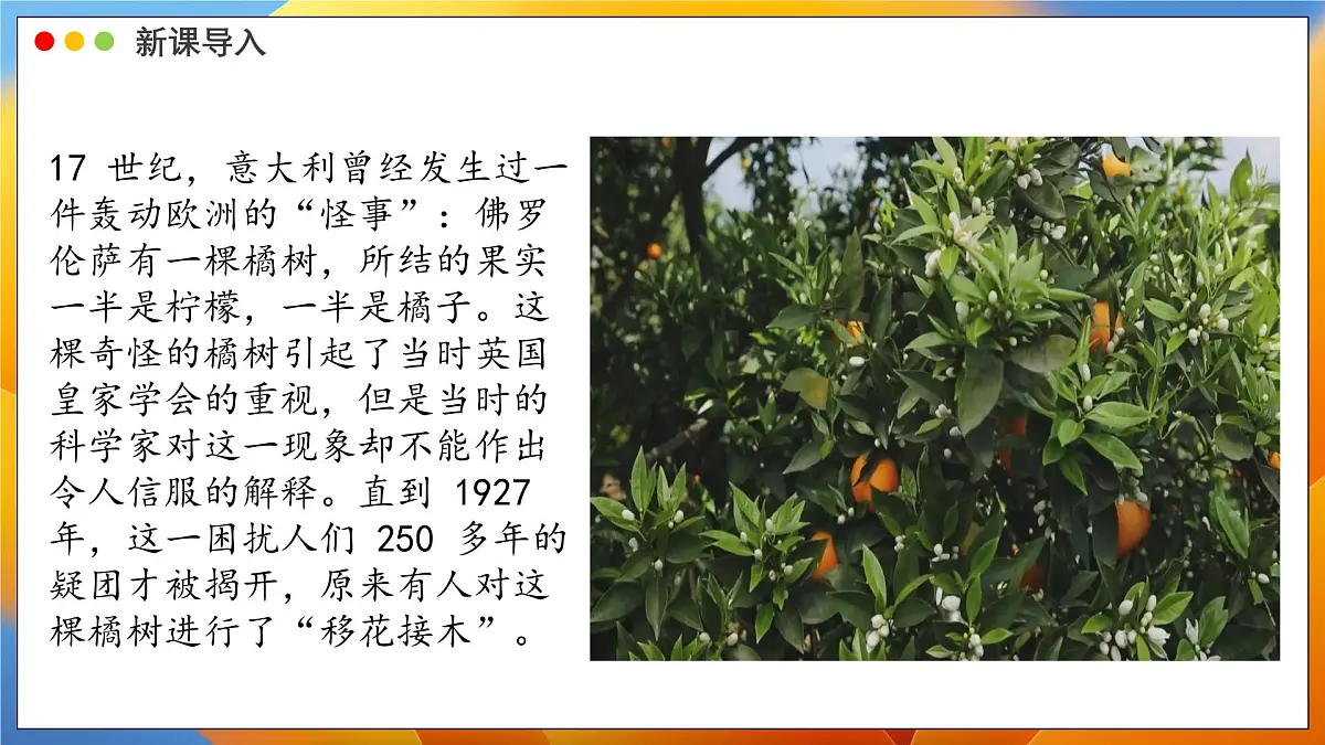 2024-2025学年济南版生物七年级下册 4.1.1 无性生殖保持了生物遗传特征的稳定 课件第3页