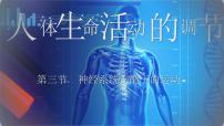 生物八年级上册（2024）第三节 神经系统支配下的运动集体备课课件ppt