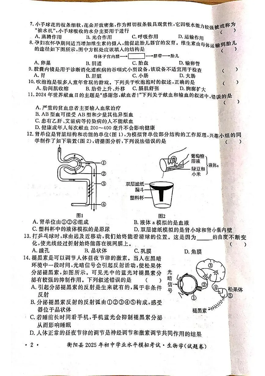 2025年湖南省衡阳县八年级学业水平考试模拟考试生物试题(中考模拟)第2页