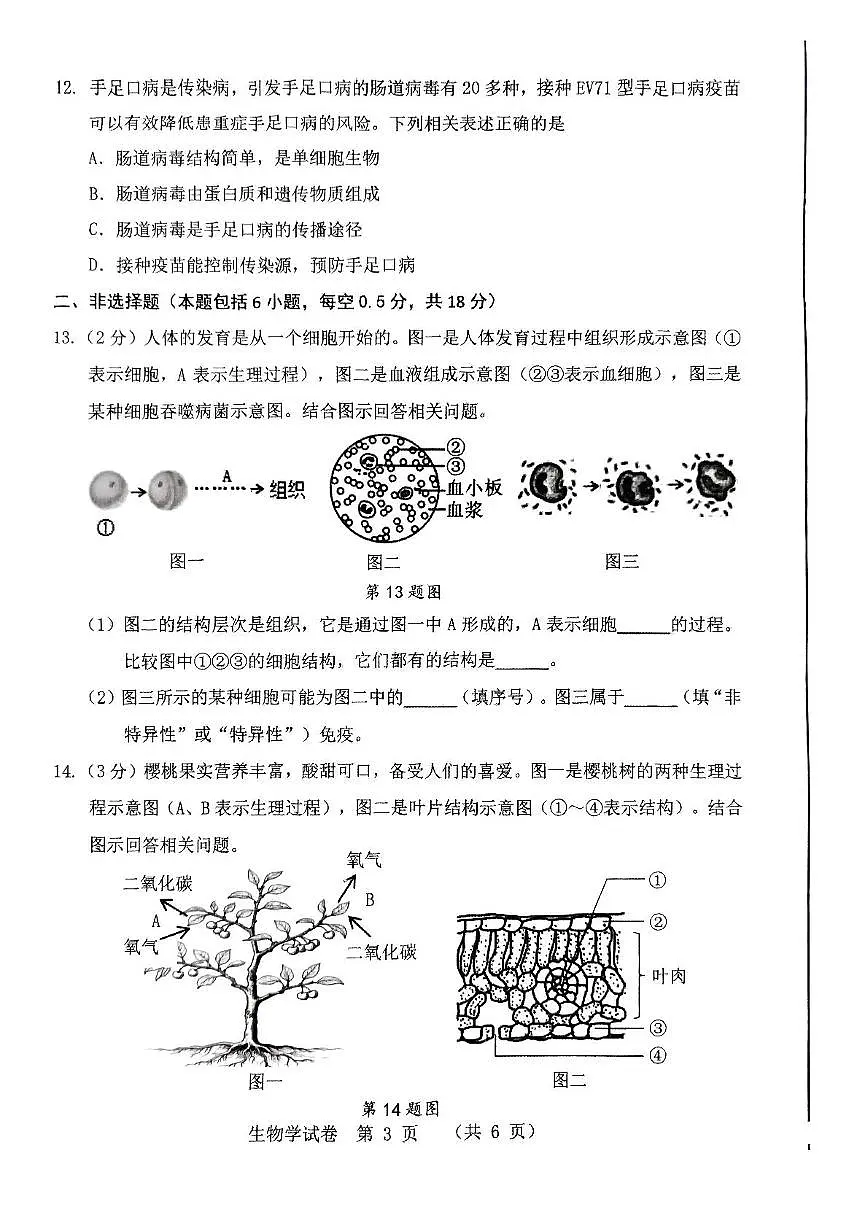2025年辽宁省丹东市八年级一模生物试题(中考模拟)第3页