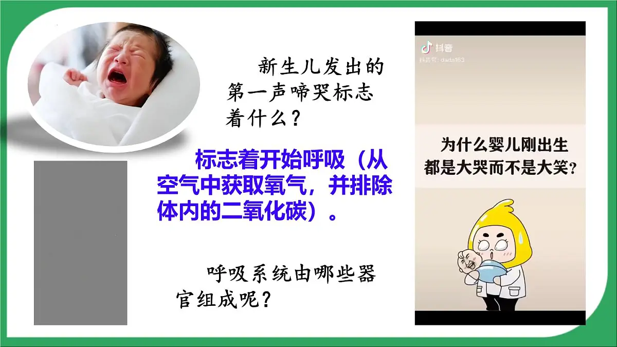 人教版生物七年级下册4.3.1《呼吸道对空气的处理》(教学课件)第3页