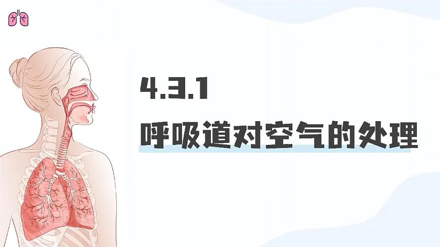 人教版生物七年级下册4.3.1《呼吸道对空气的处理》(课件)第1页