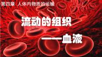 初中生物人教版（2024）七年级下册（2024）流动的组织—血液教学课件ppt