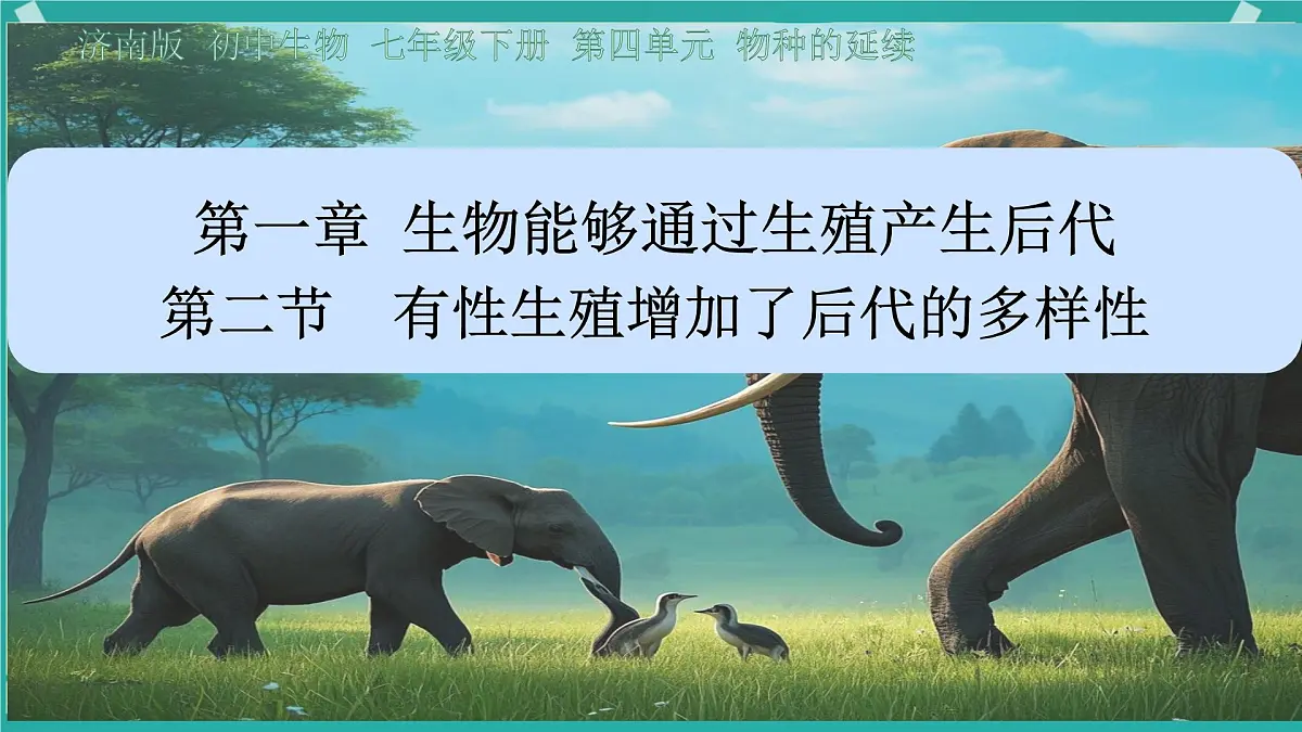 初中生物济南版(2024)七年级下册4.1.2 有性生殖增加了后代的多样性 课件第1页
