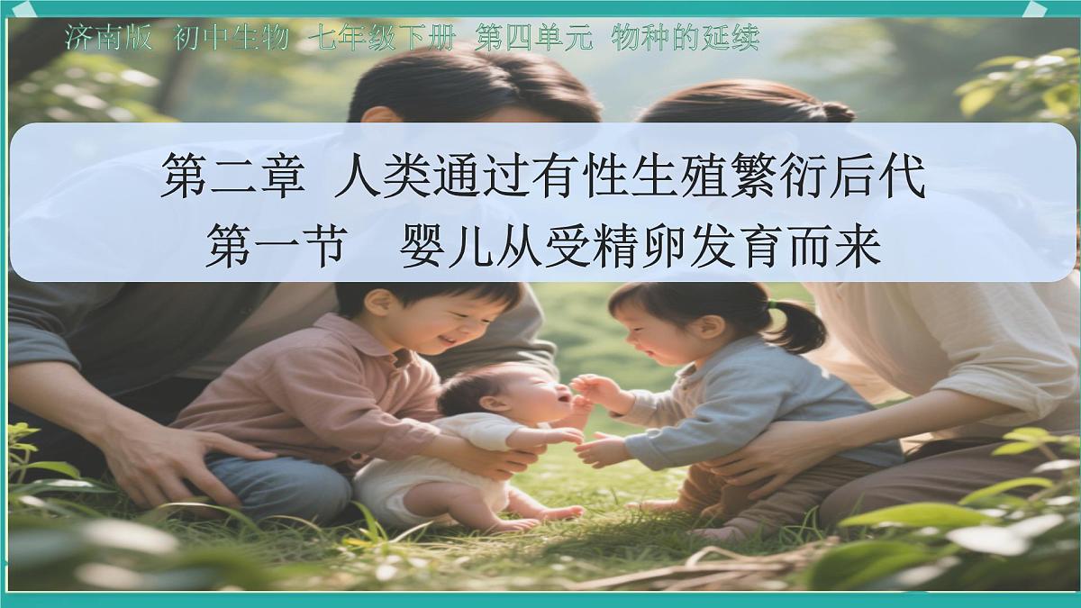 初中生物济南版(2024)七年级下册4.2.1 婴儿从受精卵发育而来 课件第2页