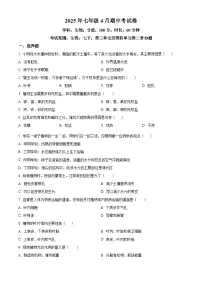 湖南省郴州市部分学校2024-2025学年七年级下学期期中生物试题（原卷版+解析版）