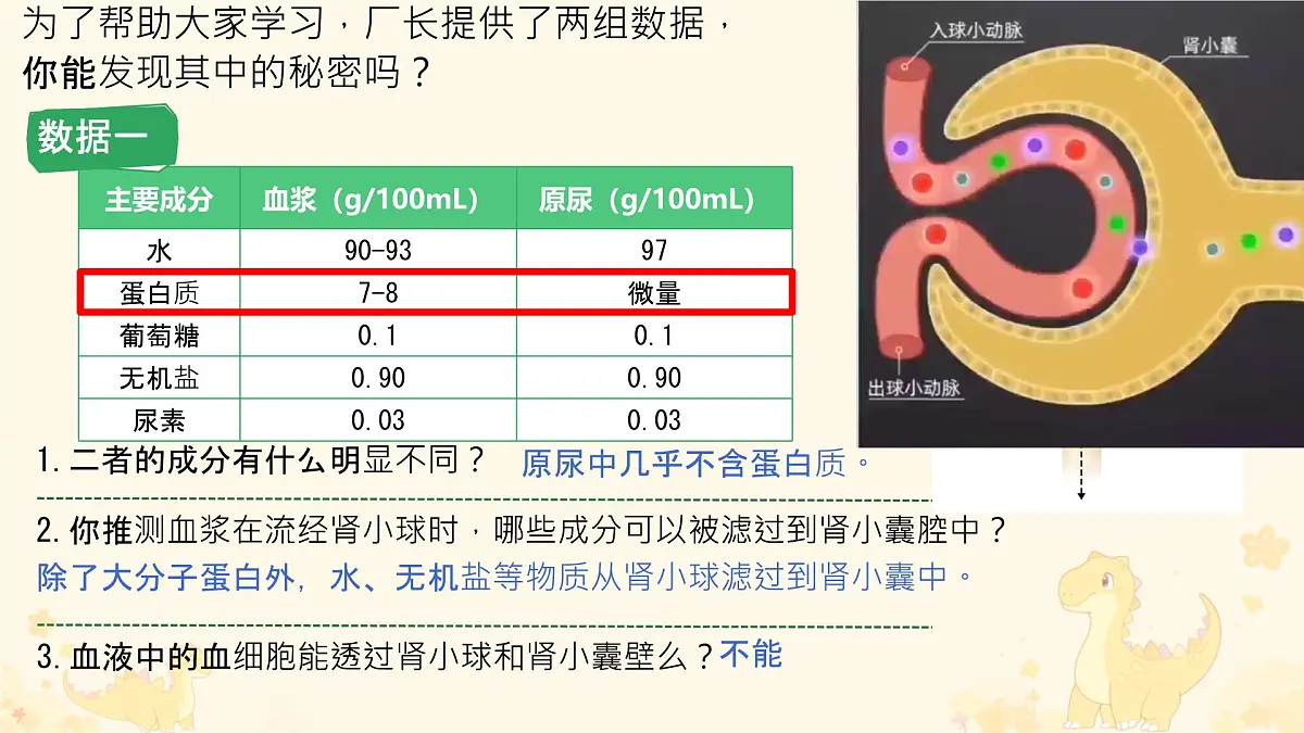 初中生物冀少版(2024)七年级下册3.4.2 尿液的形成和排出 课件第8页