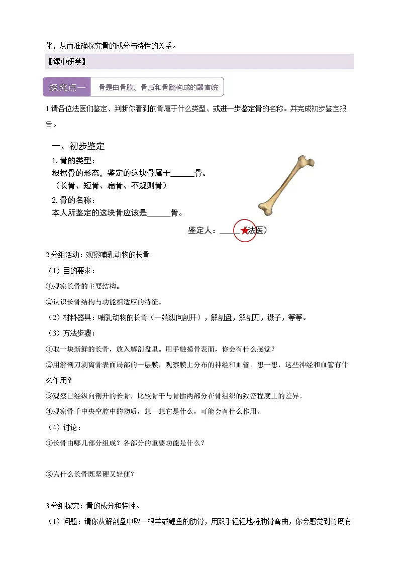 4.11.1.1人体的骨骼(第1课时) 学案(含答案)第2页