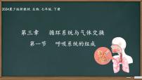 初中冀少版(2024)呼吸系统的组成背景图ppt课件