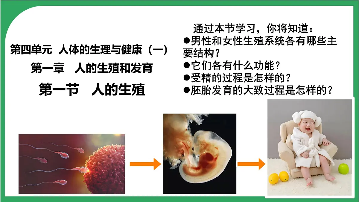 初中生物人教版(2024)七年级下册4.1.1 人的生殖 课件第1页
