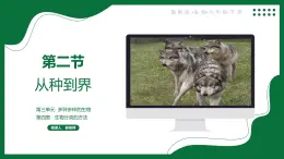 3.4.2 從種到界（課件） 2025學年六年級生物下冊同步精品課堂（魯科版五四學制2024）