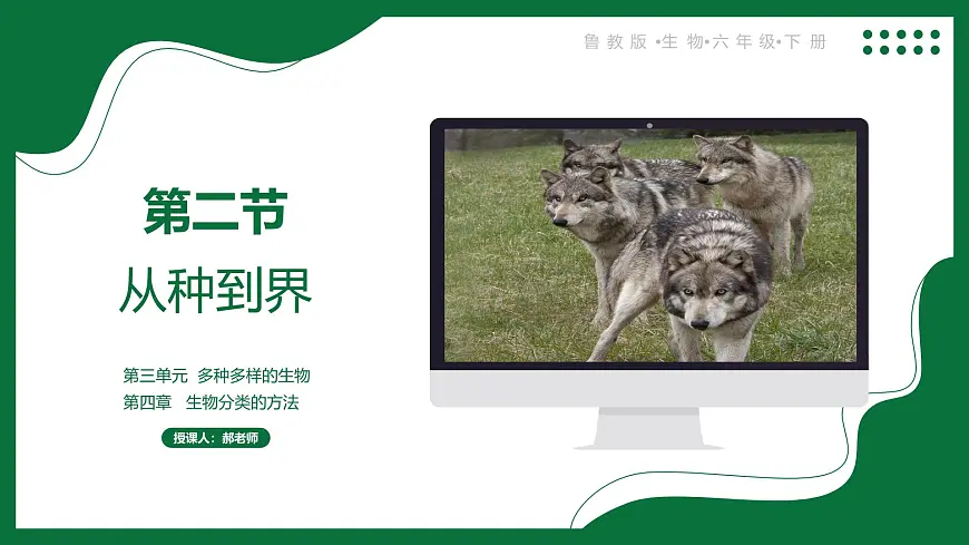 3.4.2 从种到界(课件) 2025学年六年级生物下册同步精品课堂(鲁科版五四学制2024)第1页