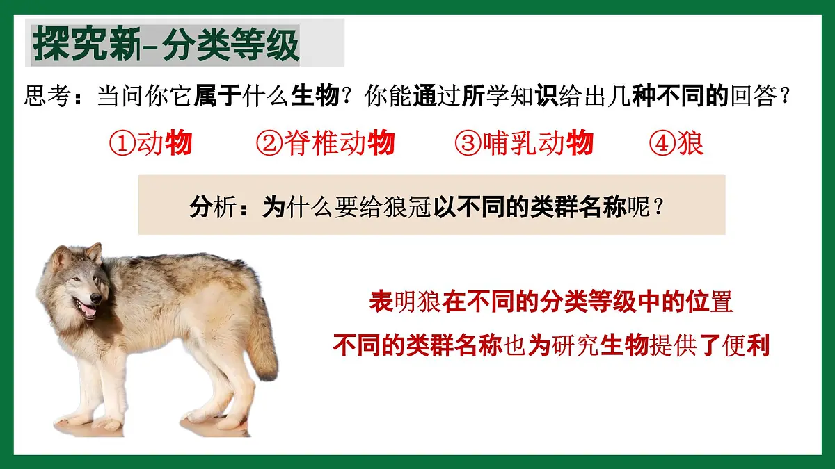 3.4.2 从种到界(课件) 2025学年六年级生物下册同步精品课堂(鲁科版五四学制2024)第5页