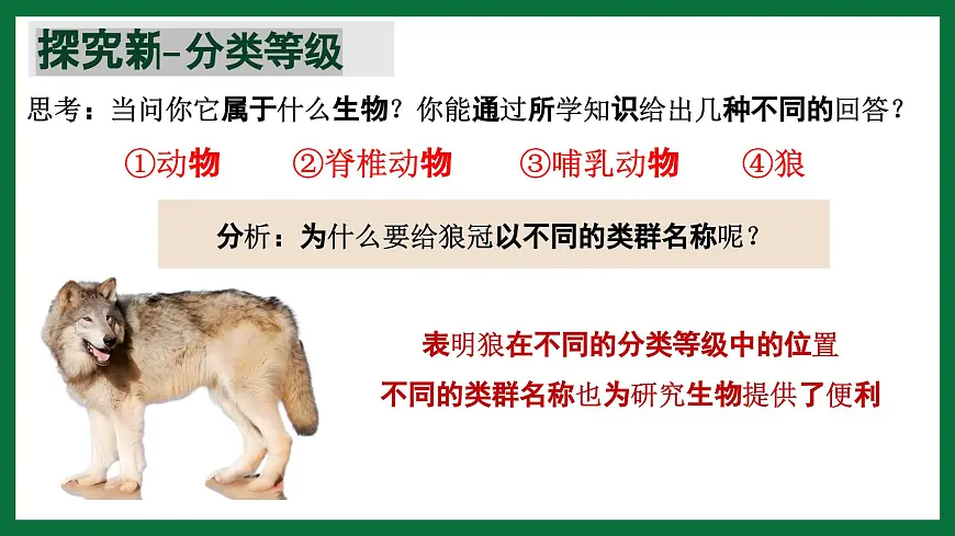 3.4.2 从种到界(课件) 2025学年六年级生物下册同步精品课堂(鲁科版五四学制2024)第5页