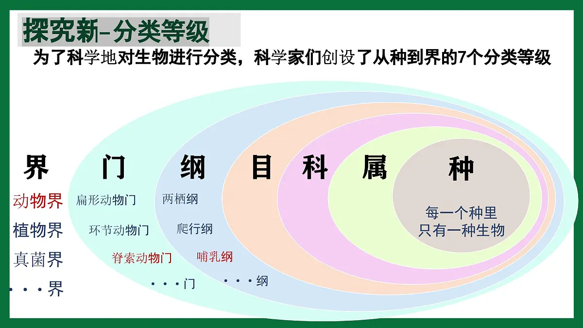 3.4.2 从种到界(课件) 2025学年六年级生物下册同步精品课堂(鲁科版五四学制2024)第6页