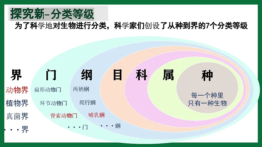 3.4.2 从种到界(课件) 2025学年六年级生物下册同步精品课堂(鲁科版五四学制2024)第6页