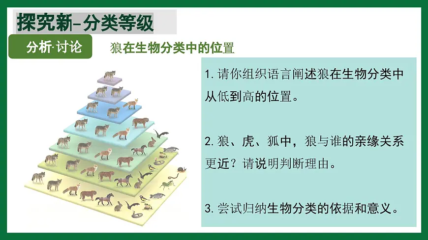3.4.2 从种到界(课件) 2025学年六年级生物下册同步精品课堂(鲁科版五四学制2024)第7页