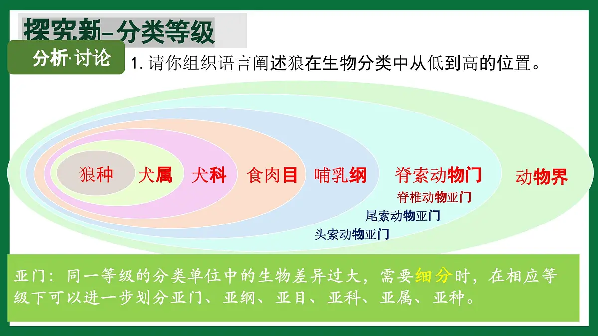 3.4.2 从种到界(课件) 2025学年六年级生物下册同步精品课堂(鲁科版五四学制2024)第8页