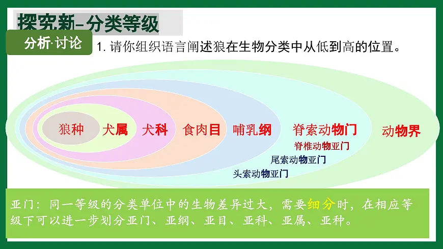 3.4.2 从种到界(课件) 2025学年六年级生物下册同步精品课堂(鲁科版五四学制2024)第8页