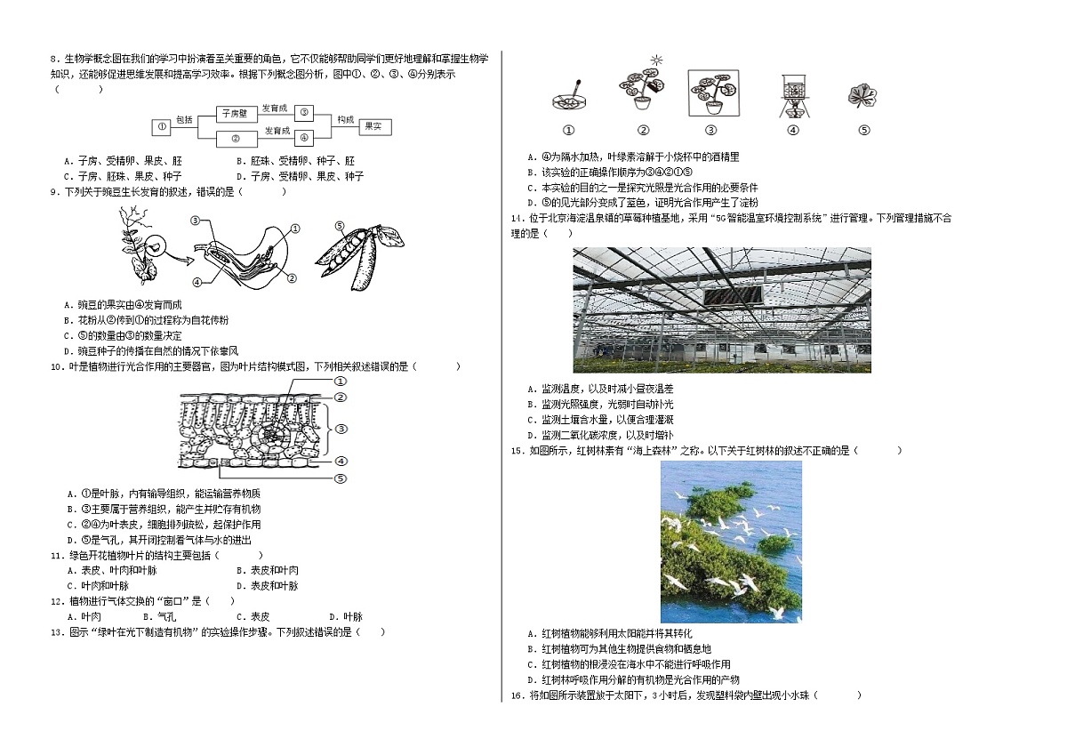 七年级生物月考卷【测试范围:七下第3单元~第4单元第2章】(考试版A3)(人教版2024)第2页