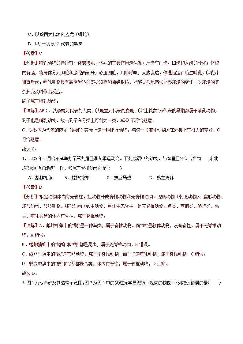 七年級生物月考卷（全解全析）（上海專用，滬教版2024第6~9章）第3頁