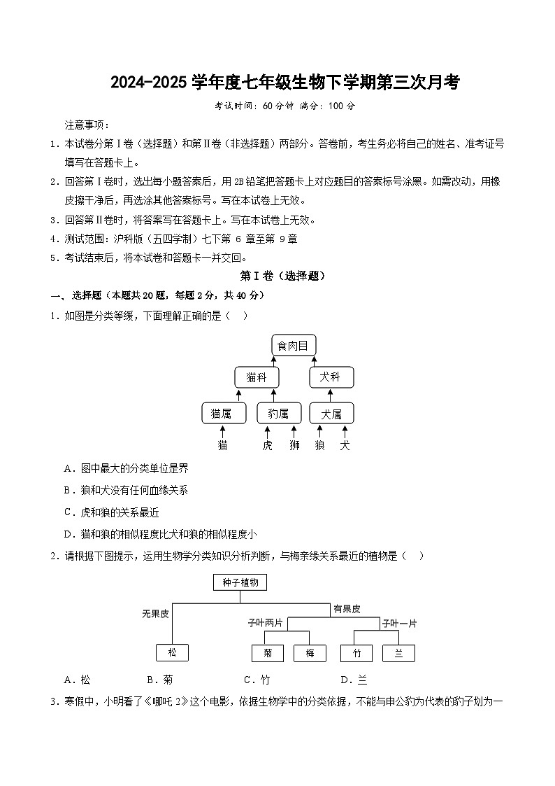 七年級生物月考卷（考試版A4）（上海專用，滬教版2024第6~9章）第1頁