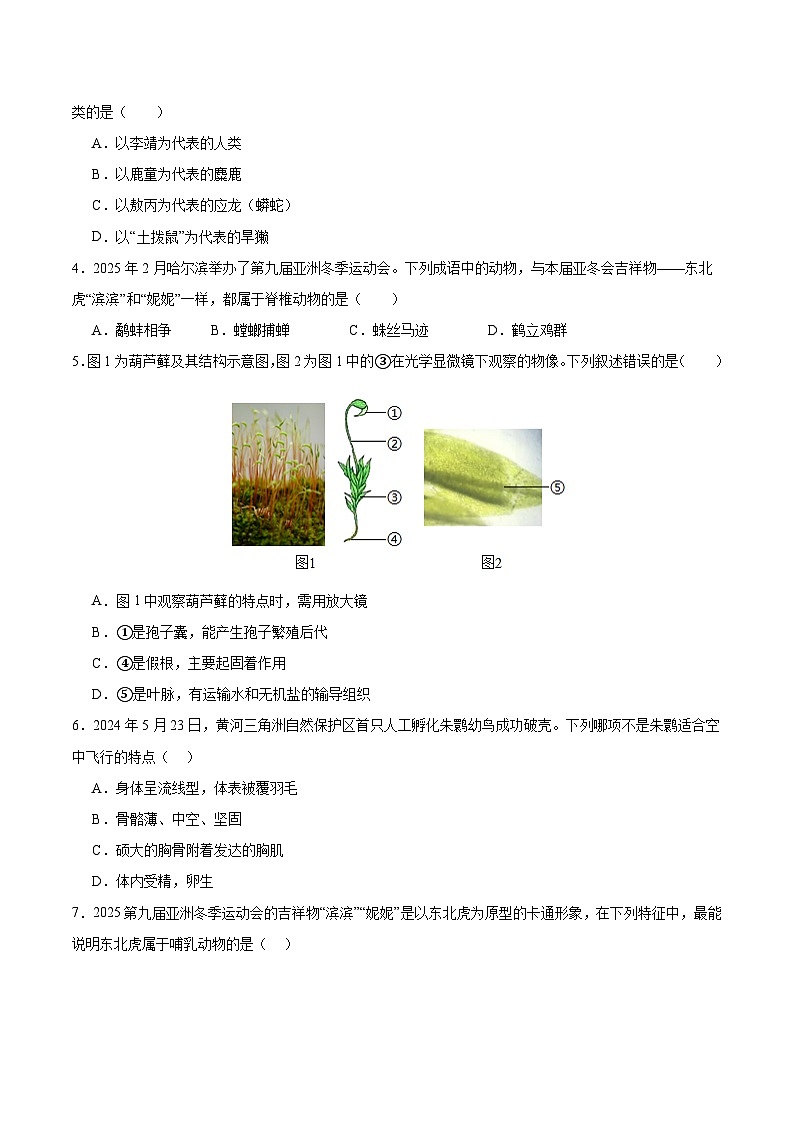 七年級生物月考卷（考試版A4）（上海專用，滬教版2024第6~9章）第2頁