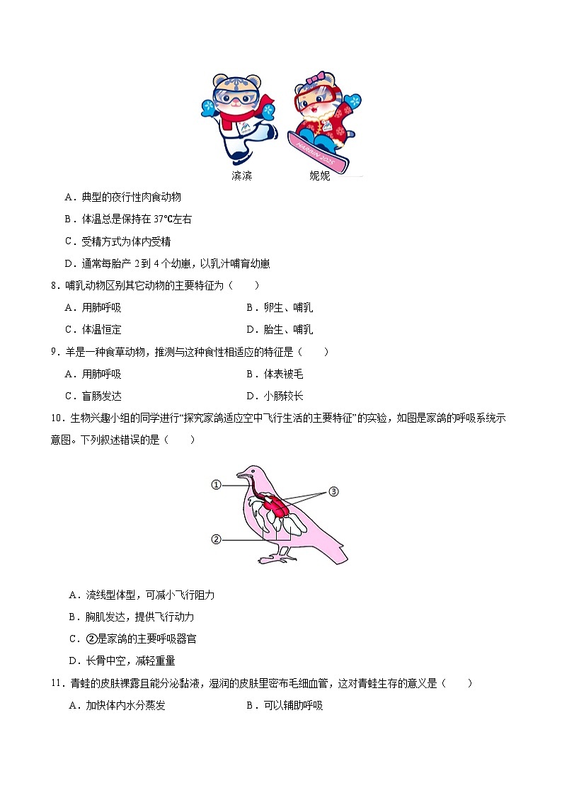 七年級生物月考卷（考試版A4）（上海專用，滬教版2024第6~9章）第3頁