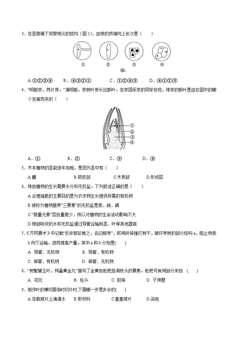 七年级生物月考卷【测试范围:人教版2024第三单元和第四单元一二章】(考试版)(湖南专用)第2页