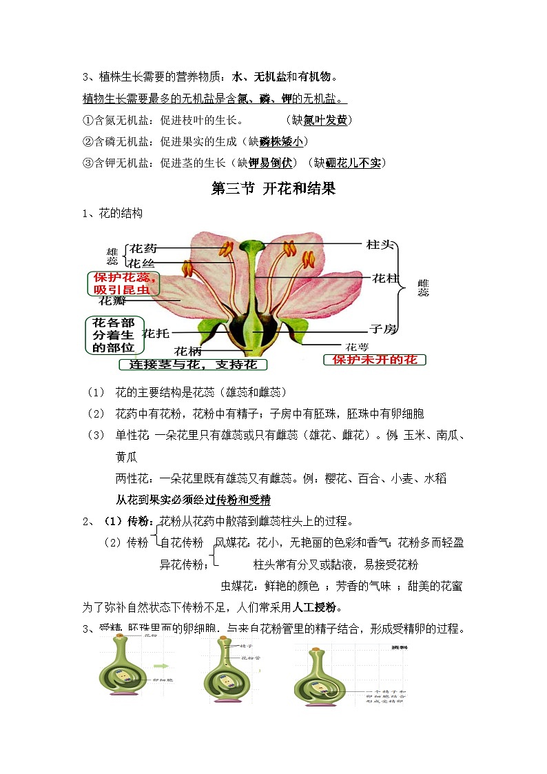 人教版(2024)七年级下册生物期末复习:必背知识点提纲 学案第3页