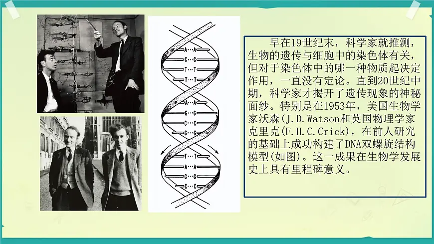初中生物济南版(2024)七年级下册4.3.1 DNA是主要的遗传物质 课件第1页