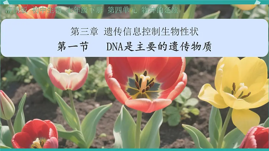 初中生物济南版(2024)七年级下册4.3.1 DNA是主要的遗传物质 课件第2页