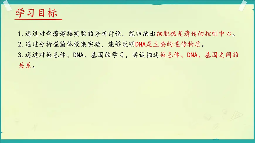 初中生物济南版(2024)七年级下册4.3.1 DNA是主要的遗传物质 课件第3页