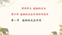 苏教版（2024）七年级下册（2024）植物的光合作用说课ppt课件