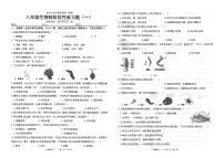 广东省汕头市潮南区陈店实验学校2024-2025学年八年级上学期9月月考生物试题