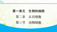初中生物动物细胞集体备课ppt课件