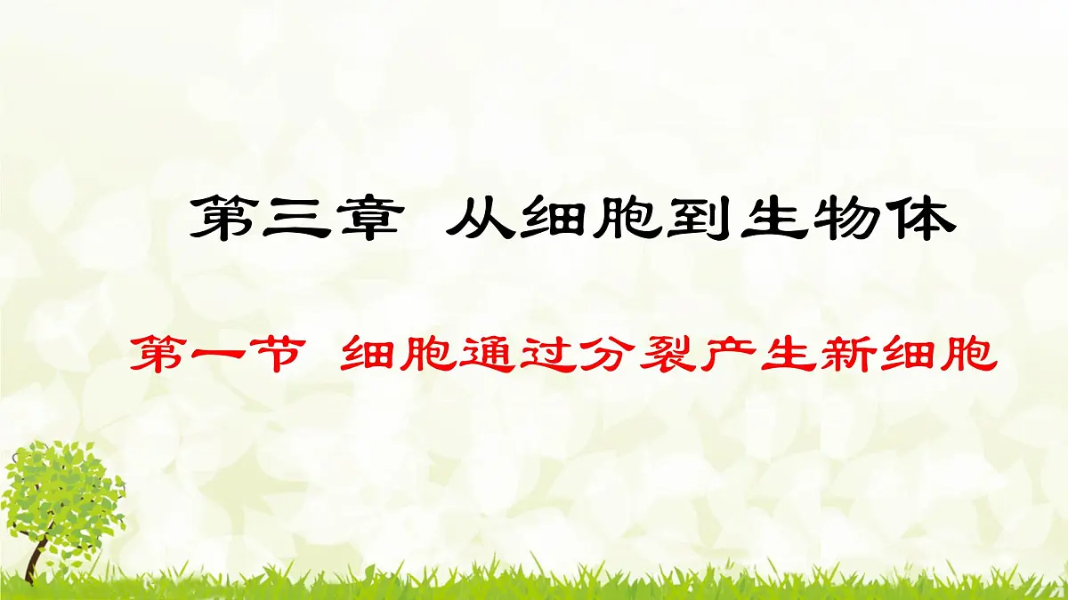人教版生物七年级上册 1.3.1 细胞通过分裂产生新细胞 课件第1页