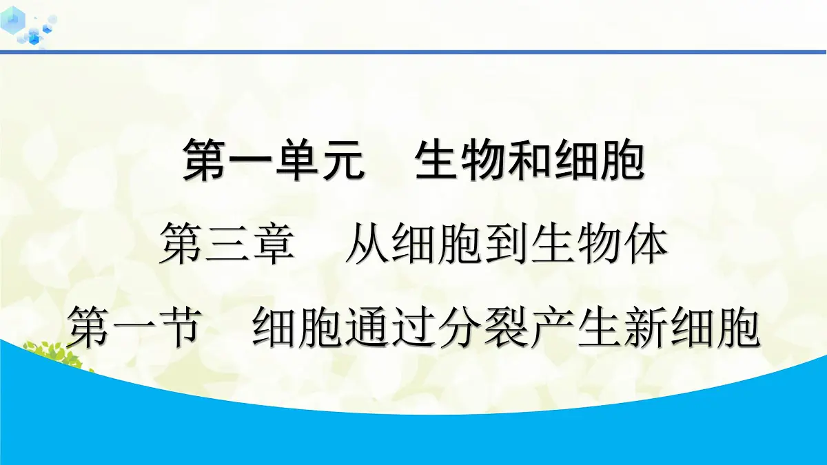 人教版生物七年级上册 1.3.1 细胞通过分裂产生新细胞 课件第1页