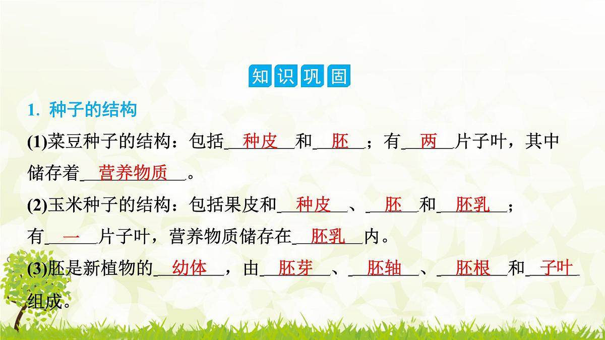 人教版生物七年级上册 2.1.2 种子植物 课件第2页