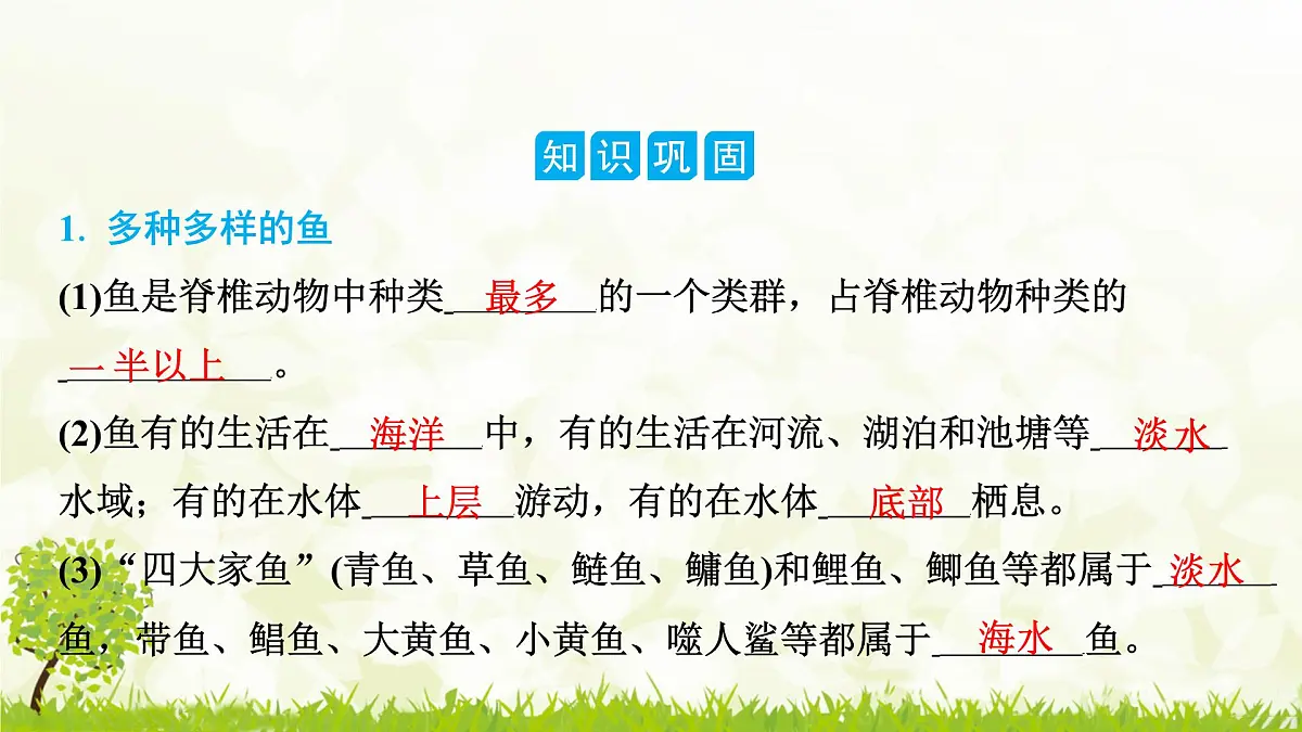 人教版生物七年级上册 2.2.2 第1课时 鱼 课件第2页