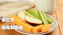 人教版（2024）七年级下册（2024）合理营养与食品安全教案配套ppt课件