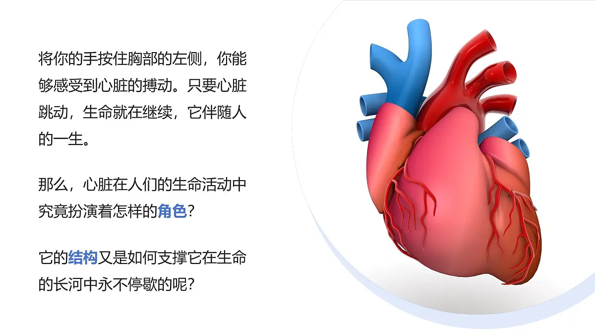 2024-2025学年人教版生物七年级下册 4.4.3 输送血液的泵——心脏 课件第5页