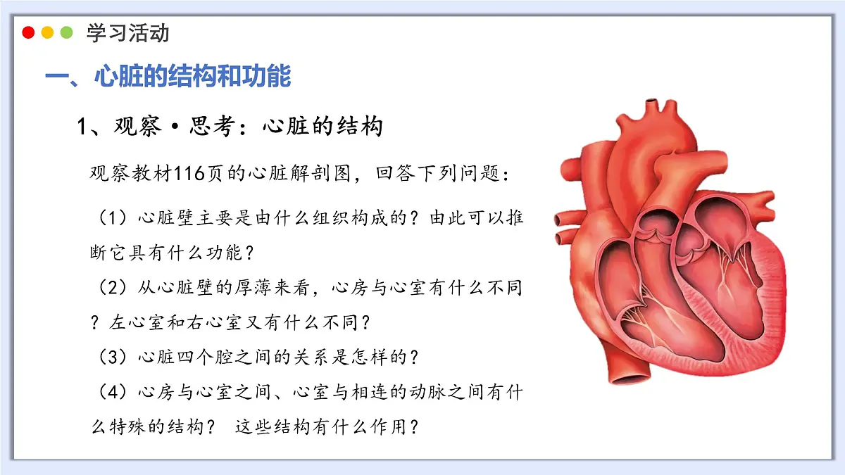 2024-2025学年人教版生物七年级下册 4.4.3 输送血液的泵——心脏 课件第8页