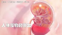 初中生物人教版（2024）七年级下册（2024）设计并制作人体结构模型授课ppt课件