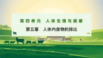 初中生物设计并制作人体结构模型背景图ppt课件