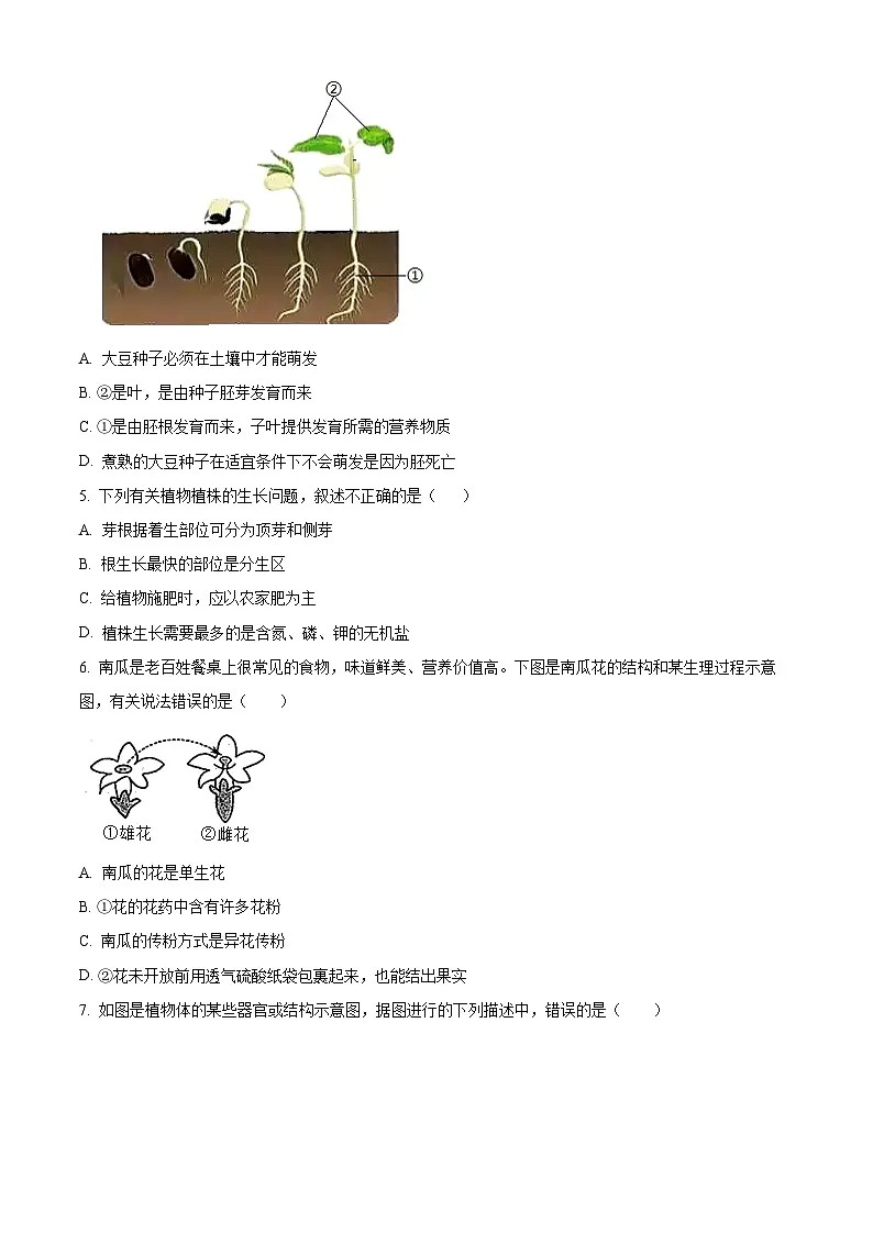 山西省临汾市部分学校2024-2025学年七年级下学期3月月考生物试题(原卷版+解析版)第2页