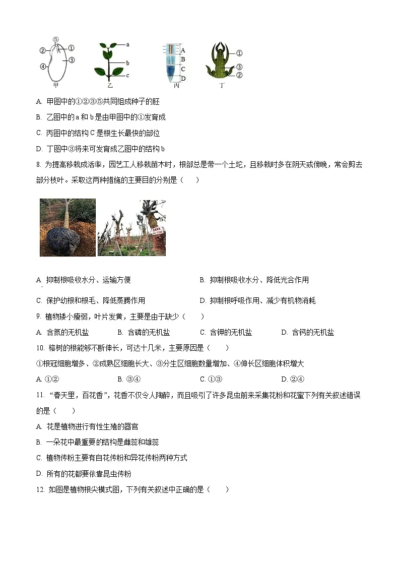 山西省临汾市部分学校2024-2025学年七年级下学期3月月考生物试题(原卷版+解析版)第3页
