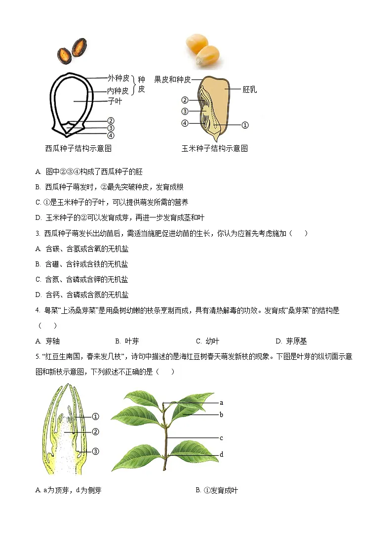 山西省山西大学附属中学校2024-2025学年七年级下学期3月份月考生物试题(原卷版+解析版)第2页