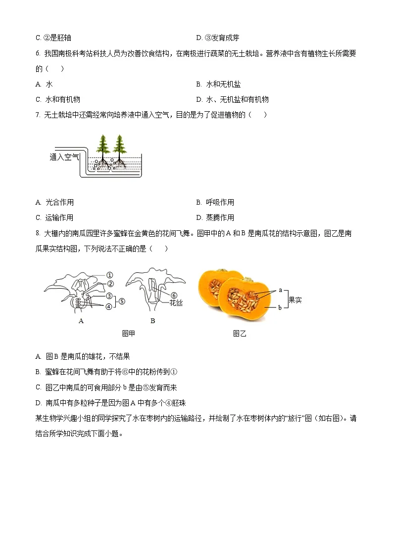 山西省山西大学附属中学校2024-2025学年七年级下学期3月份月考生物试题(原卷版+解析版)第3页