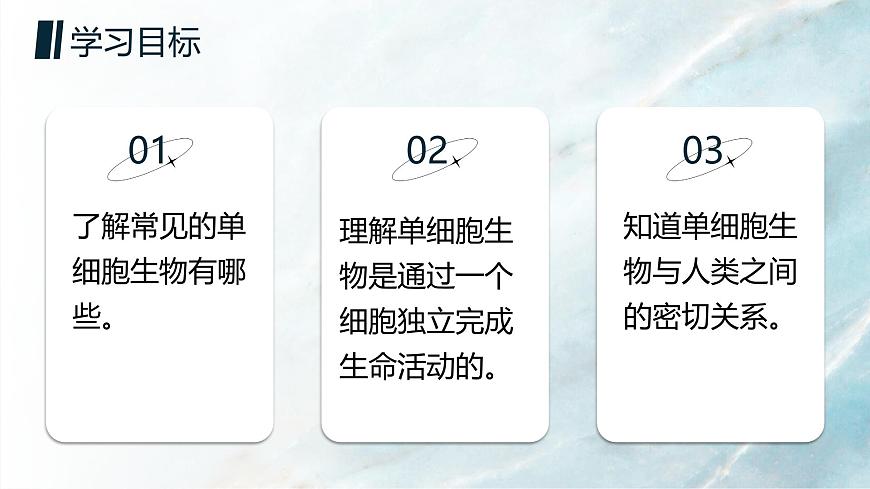 人教版2024七年級上冊生物單細胞生物 課件第2頁